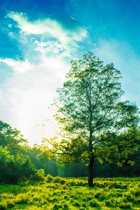 Using Free Unsplash Photos .